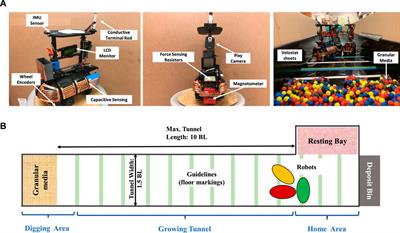 Toward Task Capable Active Matter: Learning to Avoid Clogging in Confined Collectives via Collisions